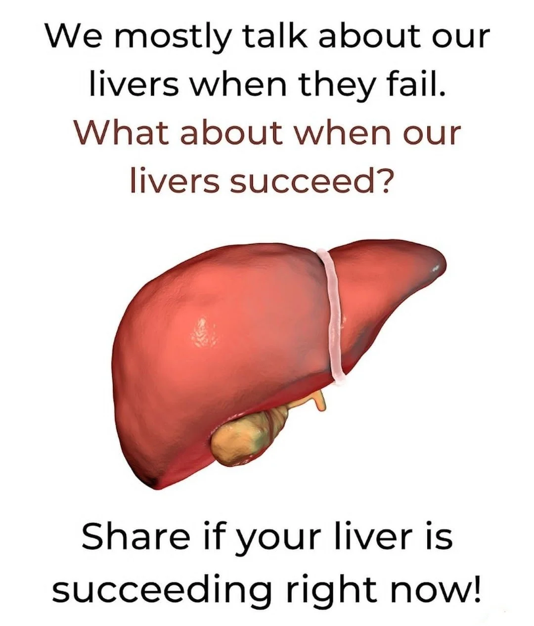 liver-succeed.webp