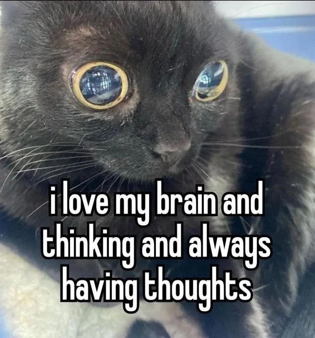 A bug-eyed black cat.  "I love my brain and thinking and always having throughts."