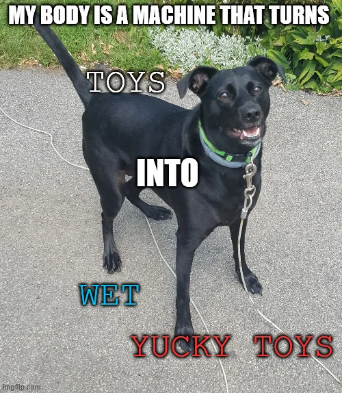 A dog.  "My body is a machine that turns toys into wet yucky toys"